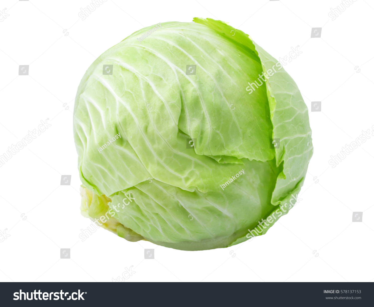 green cabbage isolated on white background #578137153