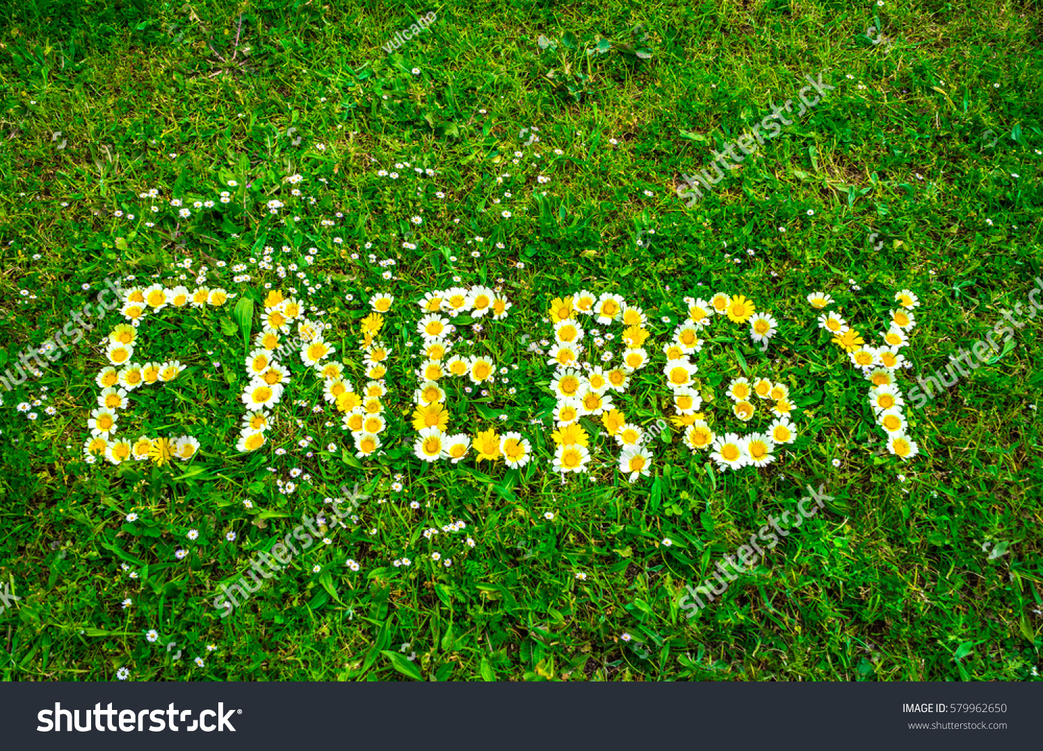 Energy word text written with flowers in green fresh grass background. #579962650