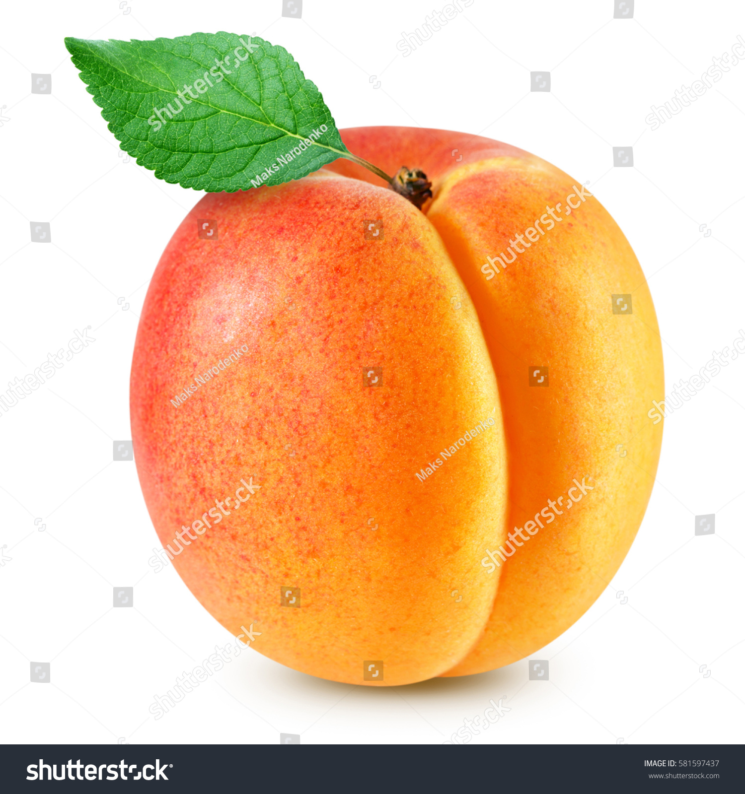 apricot fruits with green leaf isolated on white background Clipping Path #581597437