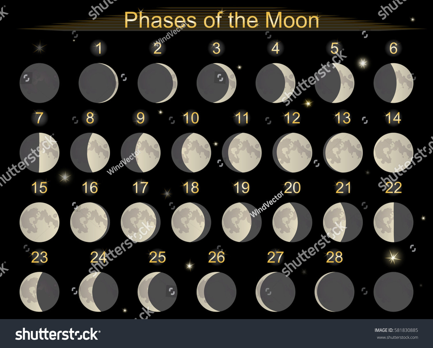 Diagram Of The Phases Of Movement Of The Moon. - Royalty Free Stock 