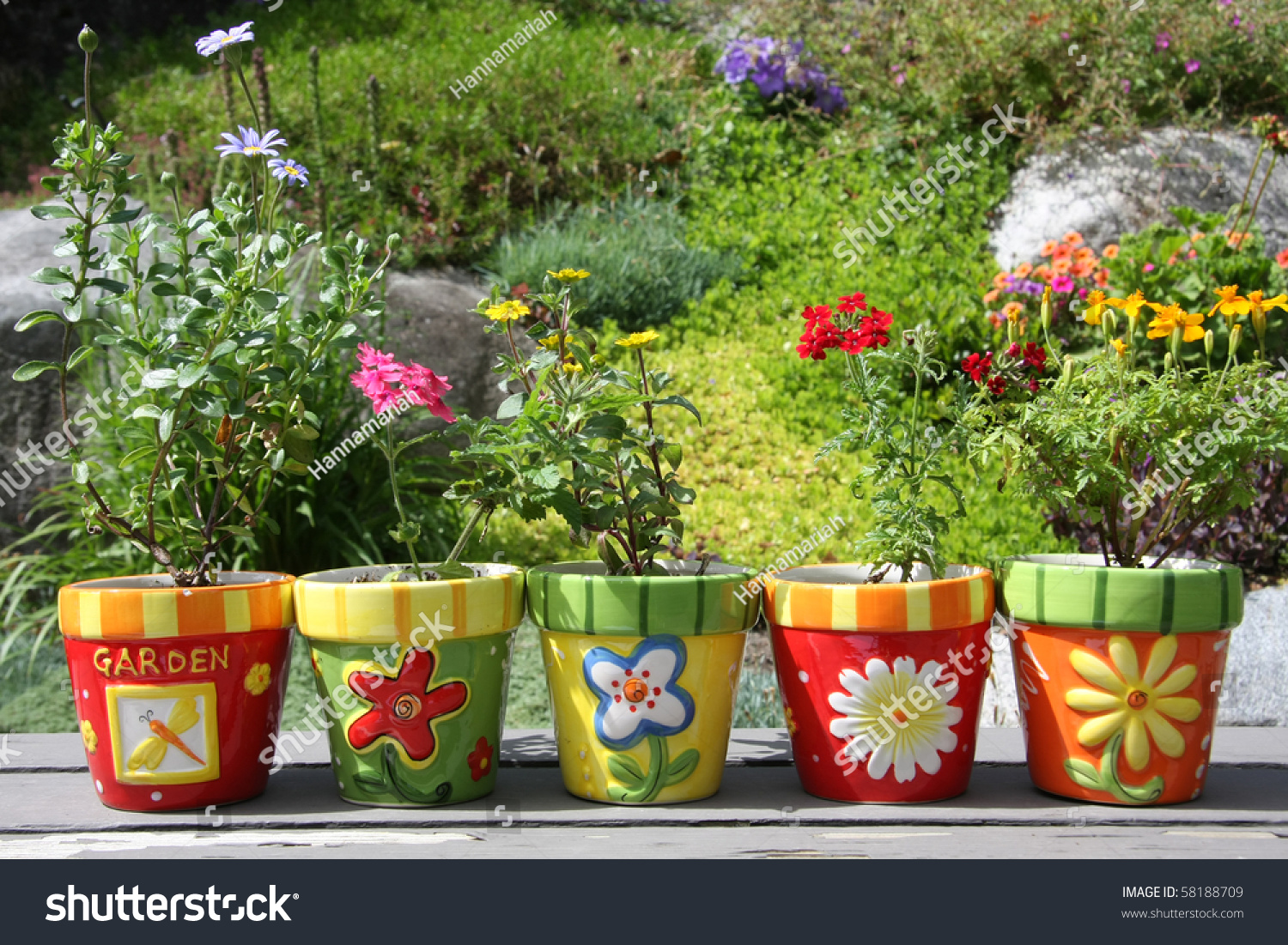 Colorful pots with pretty flowers, outside in the garden. #58188709