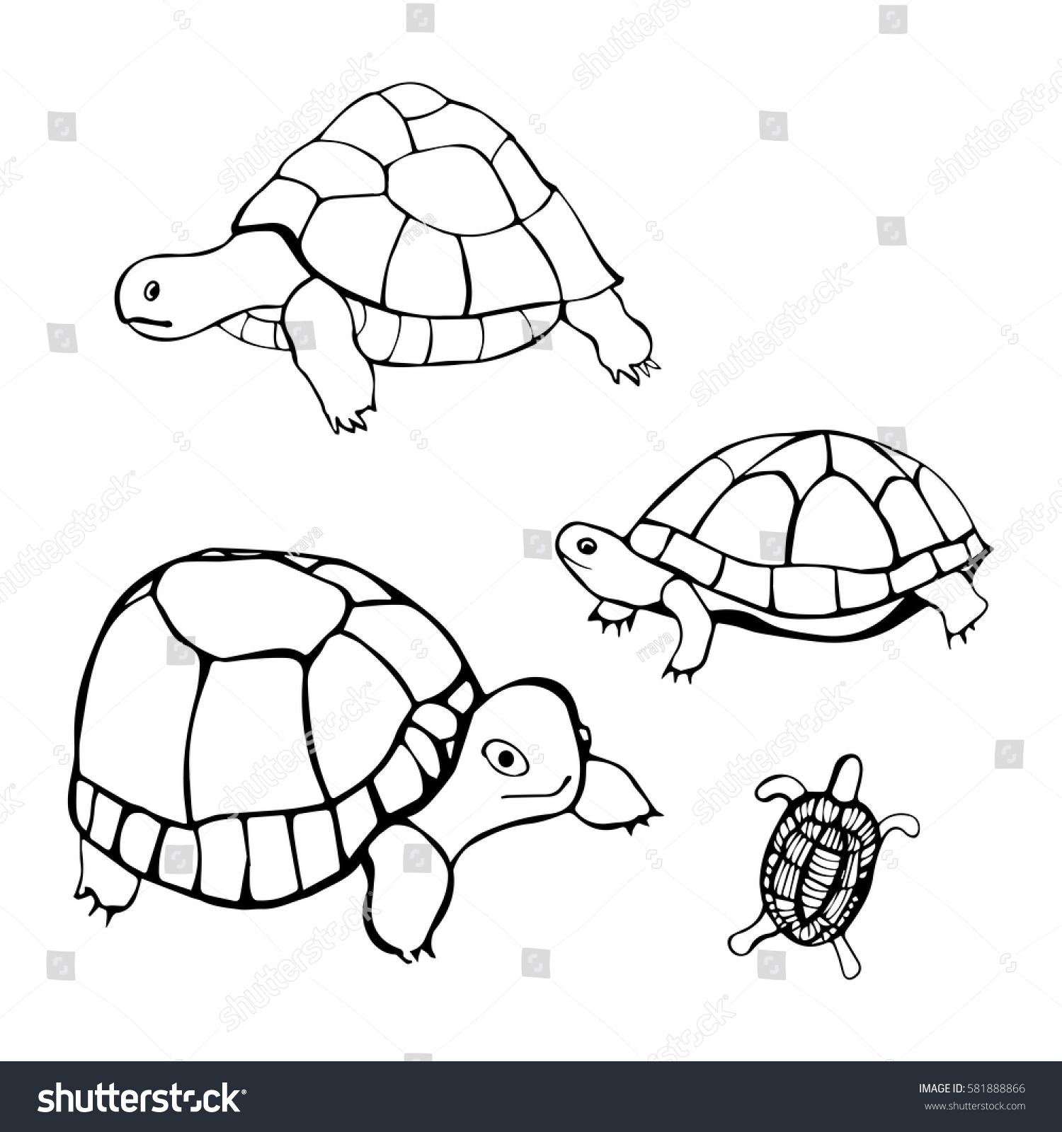 Hand drawn turtles. Vector illustration. - Royalty Free Stock Vector ...