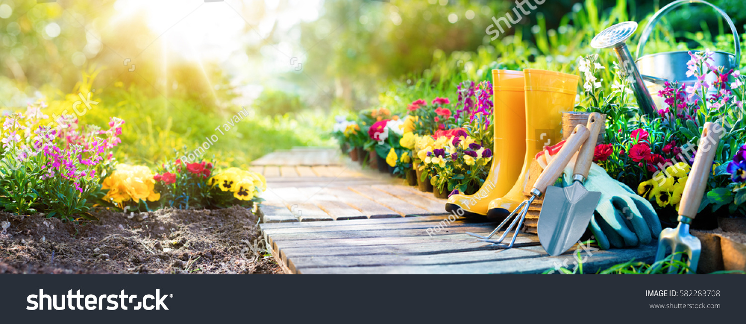 Gardening - Set Of Tools For Gardener And Flowerpots In Sunny Garden
 #582283708