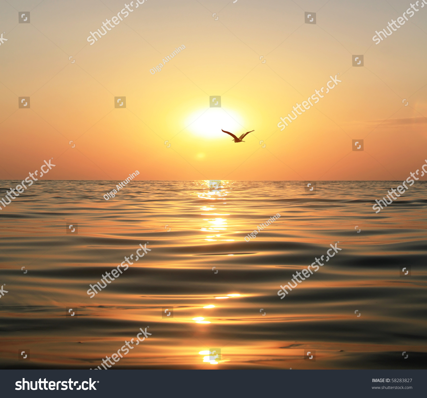 Beautiful sunset, shining in the sun sea and flying seagull #58283827