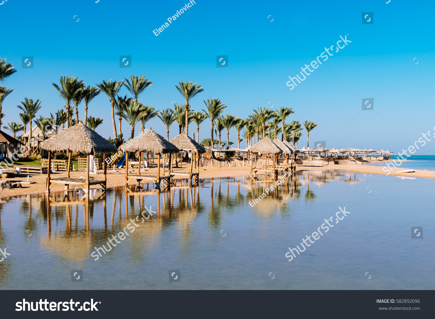 Beautiful  beach with palm trees at sunset, Sharm El Sheikh,  Red sea, Egypt #582892096
