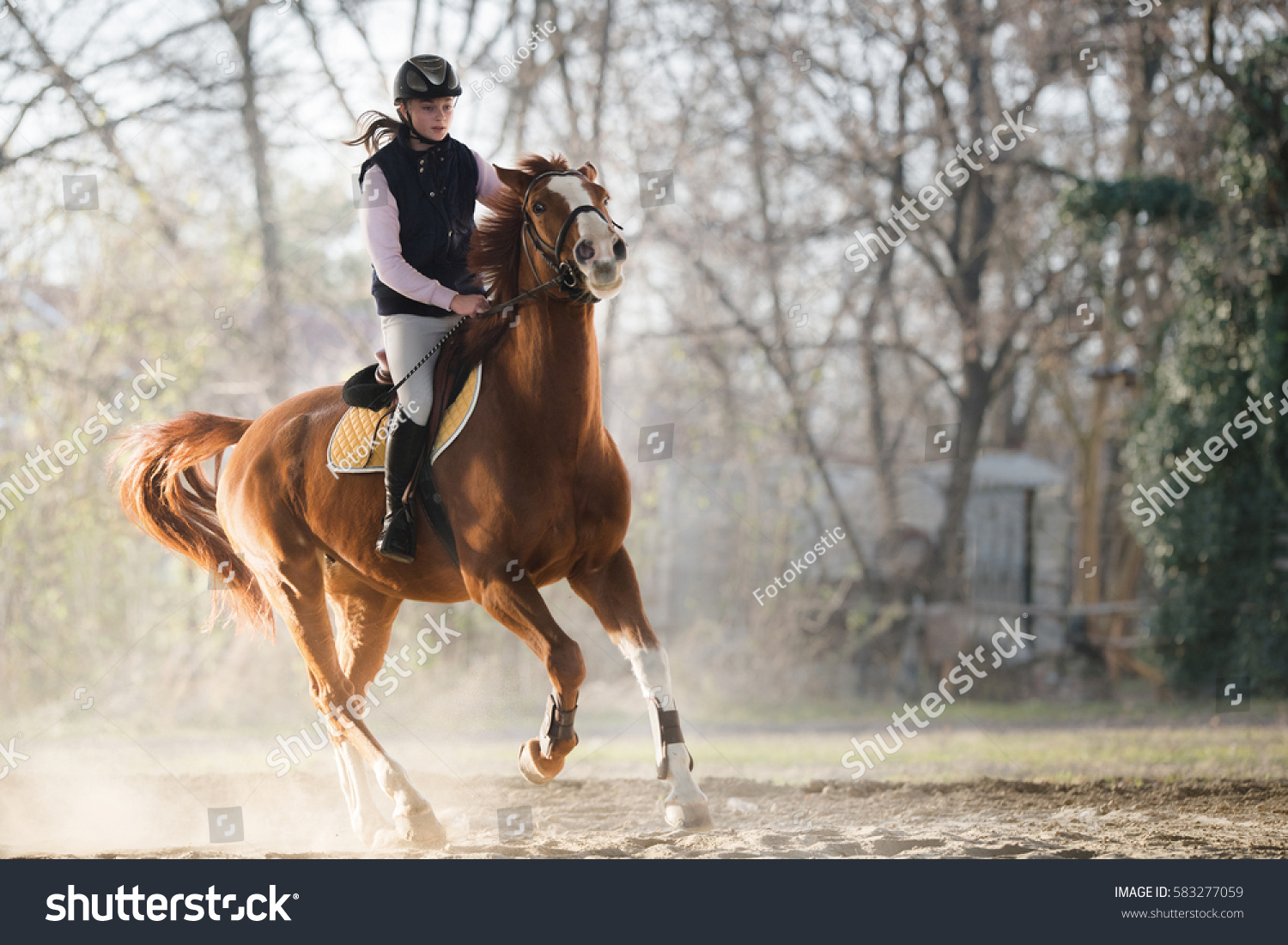 Young pretty girl riding a horse #583277059