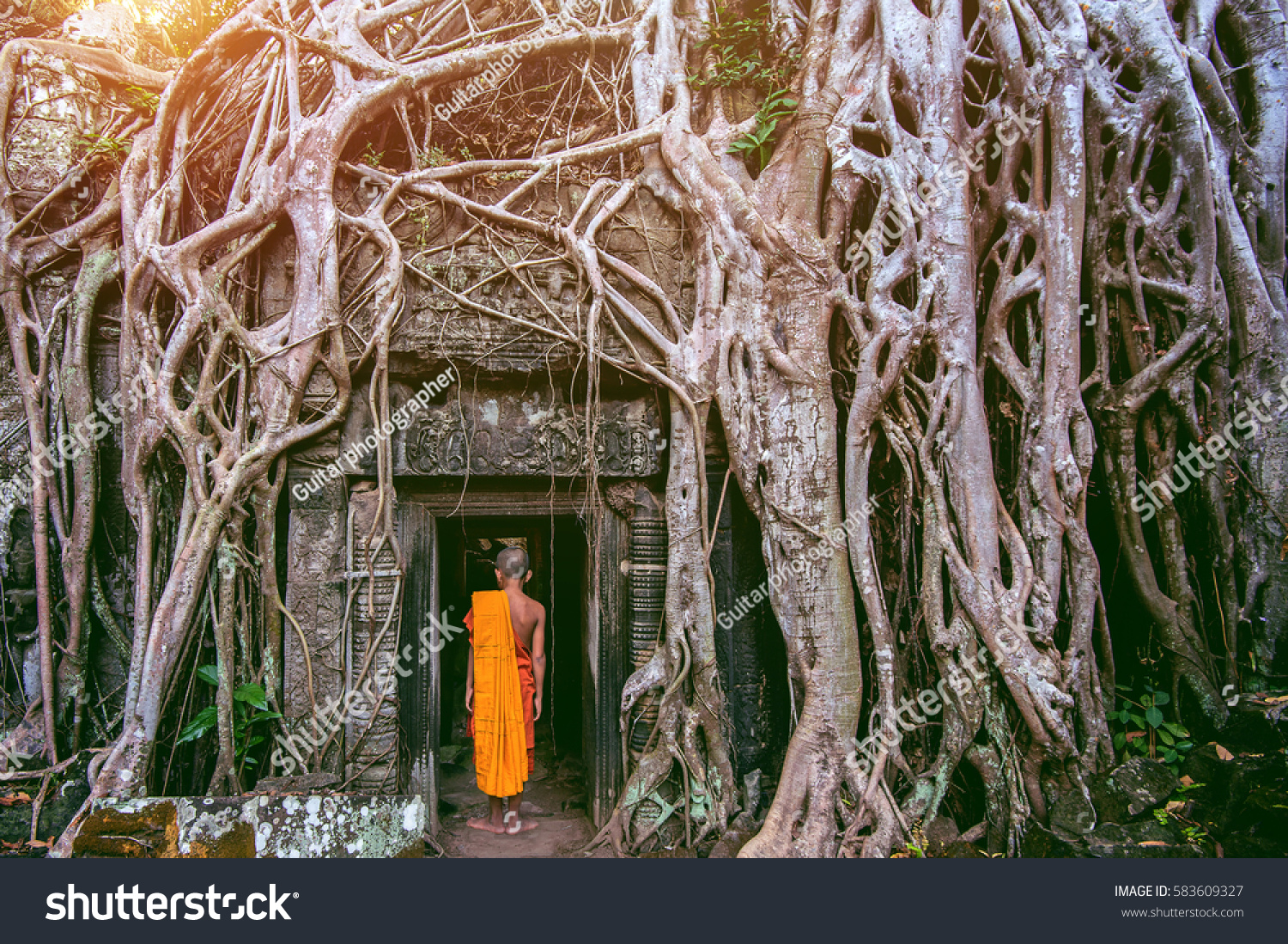 The monks and Trees growing out of Ta Prohm temple, Angkor Wat in Cambodia. #583609327