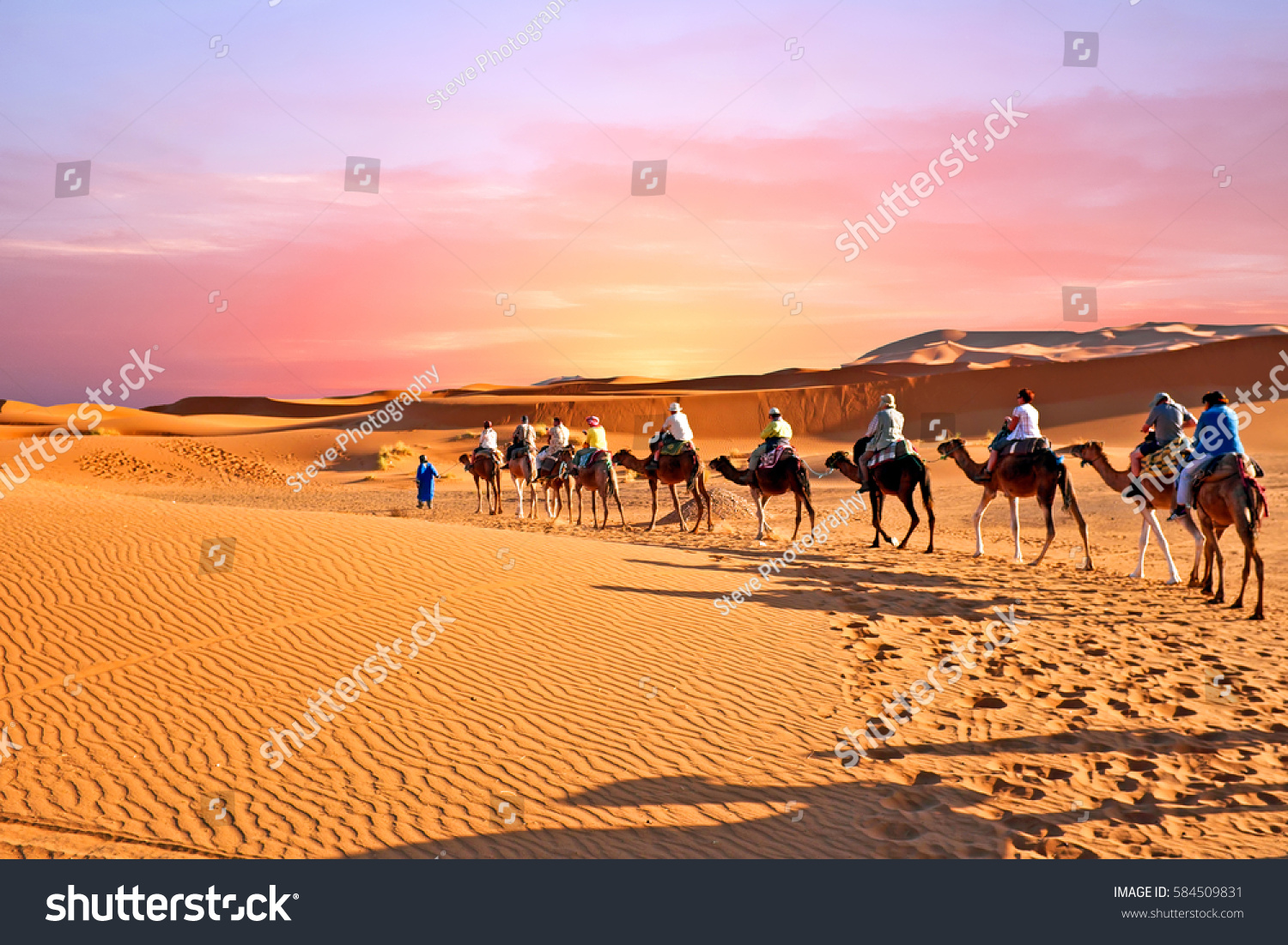 Camel caravan going through the sand dunes in the Sahara Desert, Morocco at sunset #584509831