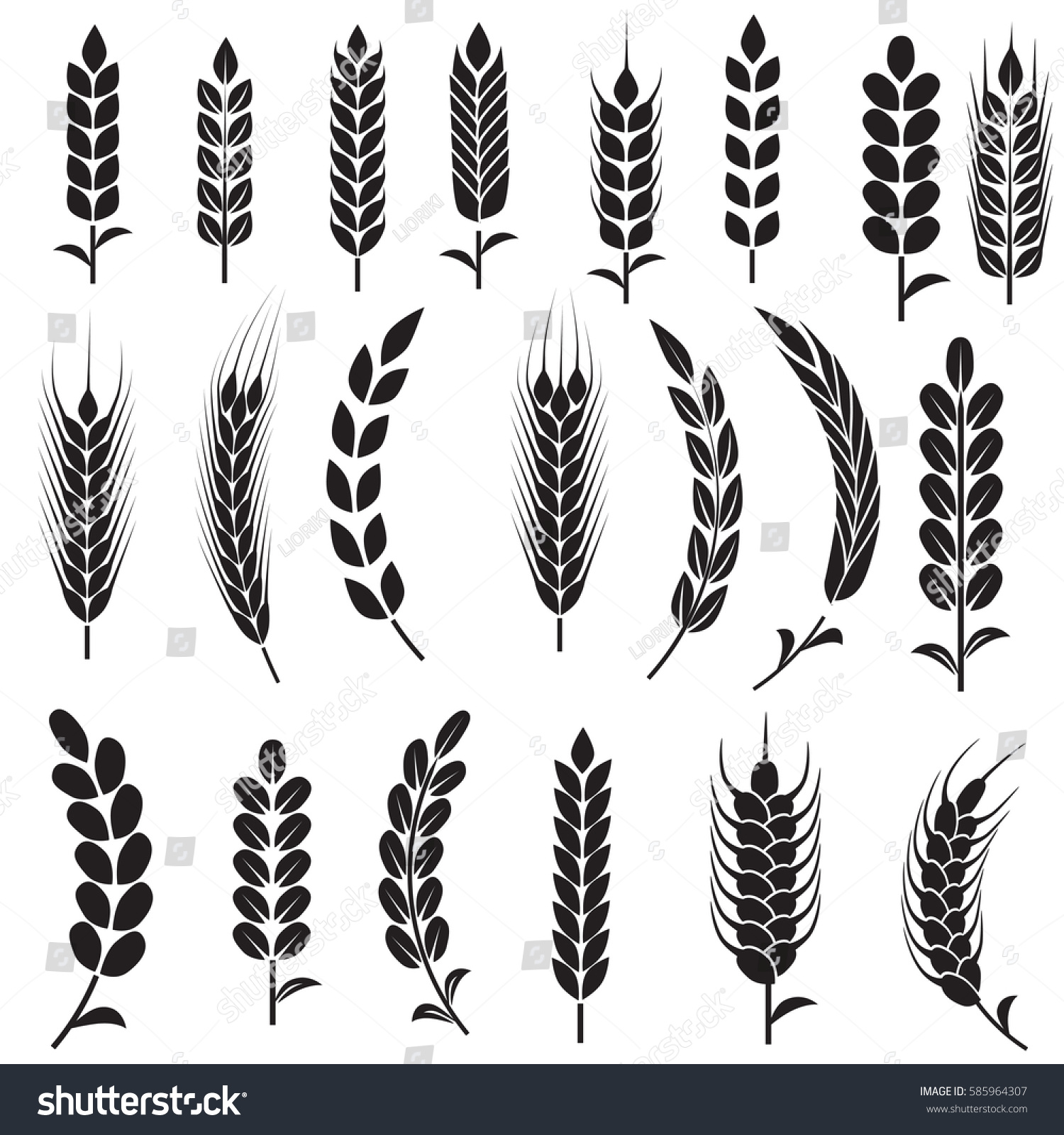 Wheat Ears Icons and Logo Set. For Identity Style of Natural Product Company and Farm Company. Organic wheat, bread agriculture and natural eat. Contour lines. Flat design. #585964307