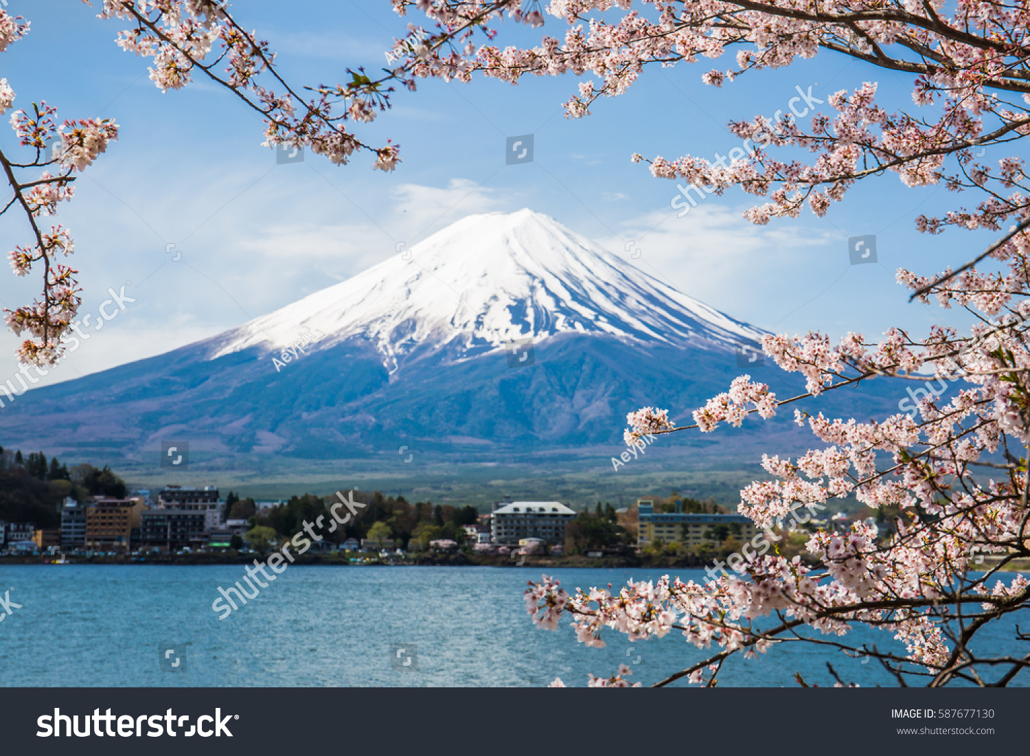 Mount Fuji with cherry blossom at Lake kawaguchiko in japan  #587677130