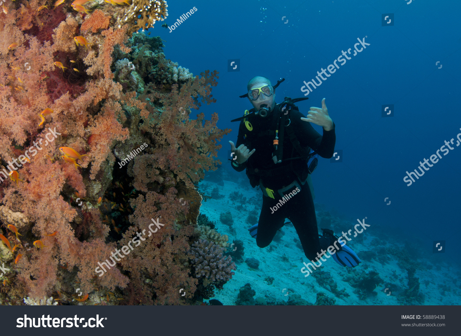 scuba diver on colorfull reef #58889438