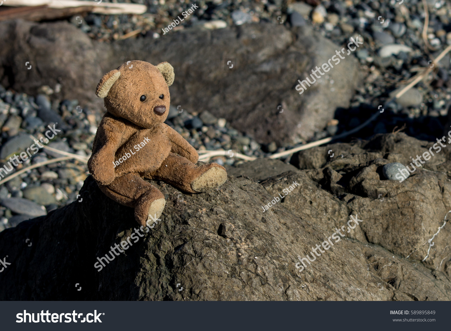 Teddy Bear: A teddy bear sits on a rock at the beach. #589895849