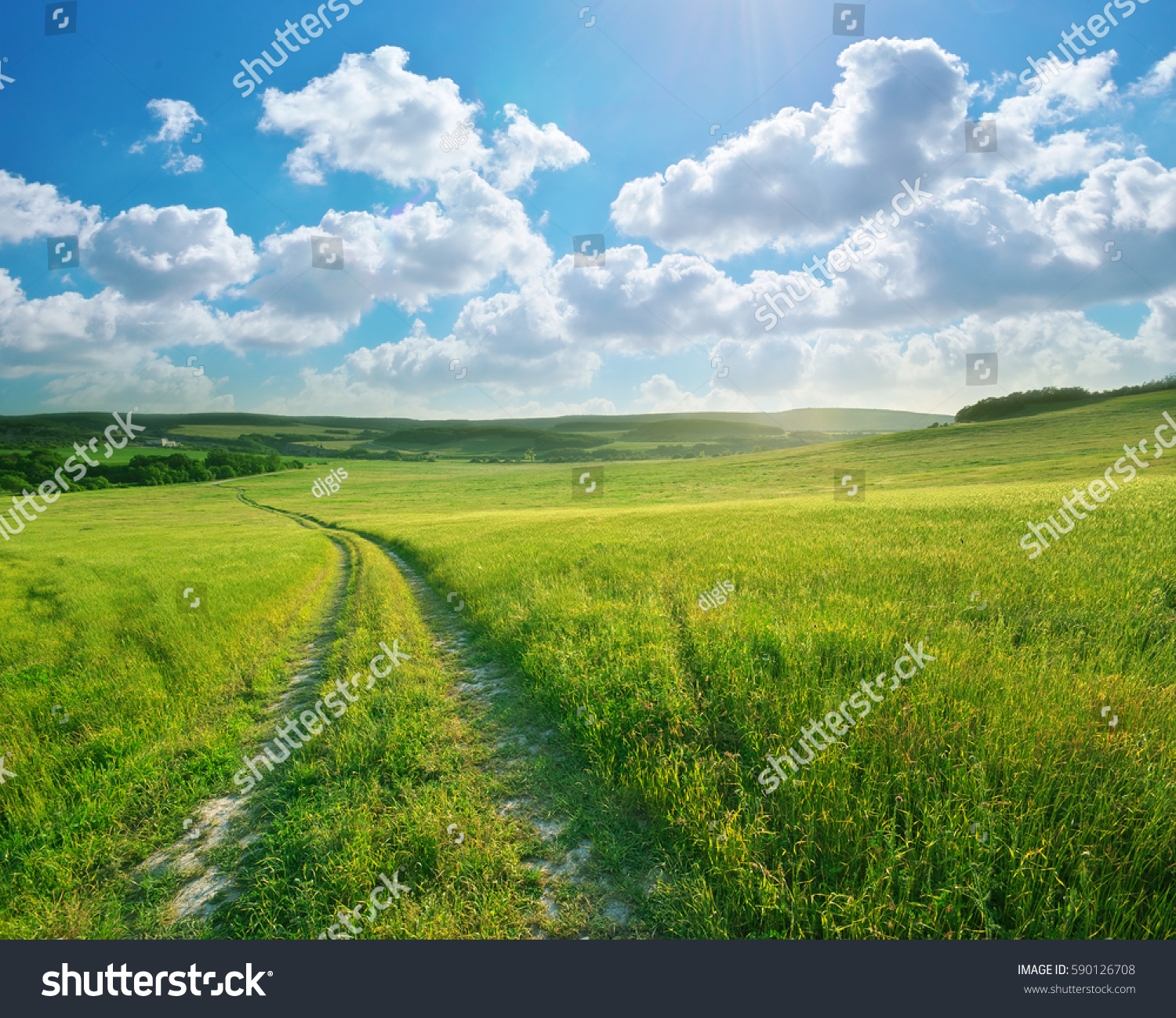 Road lane and deep blue sky. Nature design. #590126708
