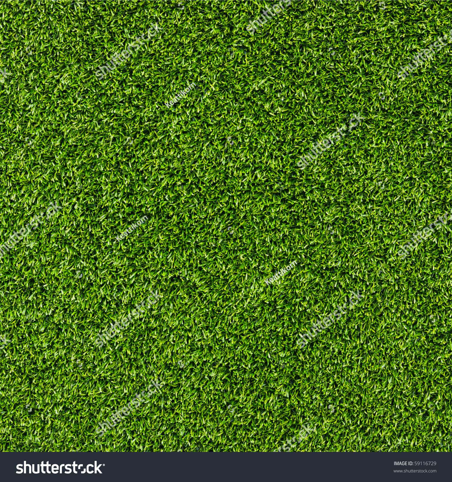 Artificial Grass Field Top View Texture #59116729