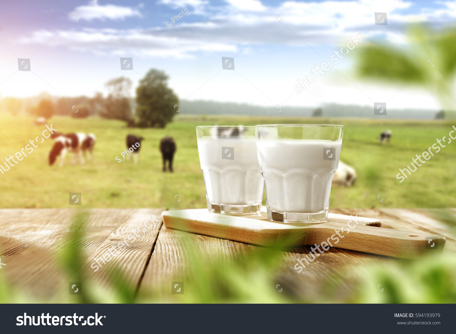 fresh milk and spring time  #594193979