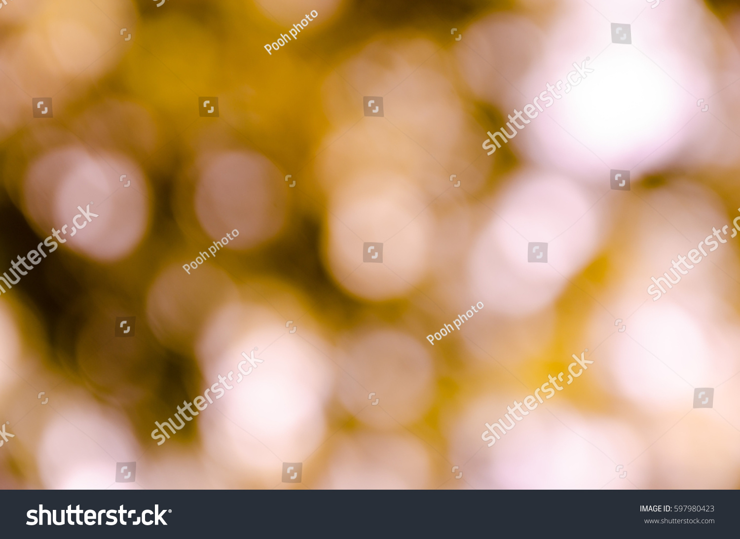 bokeh background from nature under tree shade #597980423