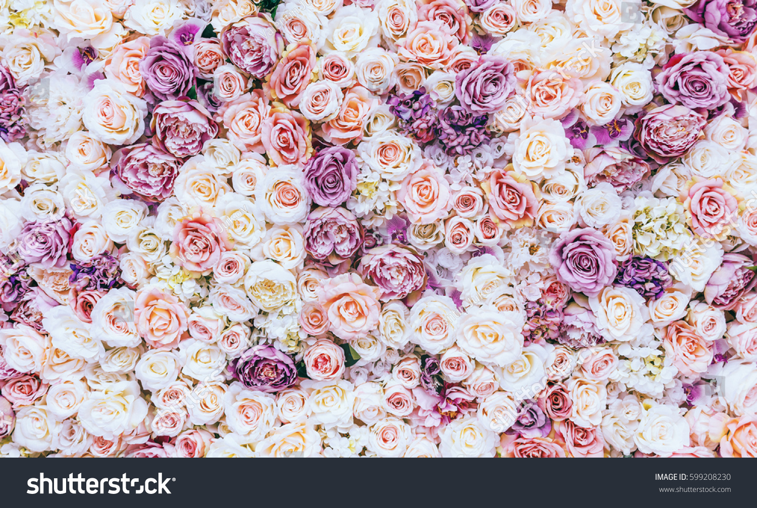 Flowers wall background with amazing red and white roses, Wedding decoration, hand made. Toning #599208230