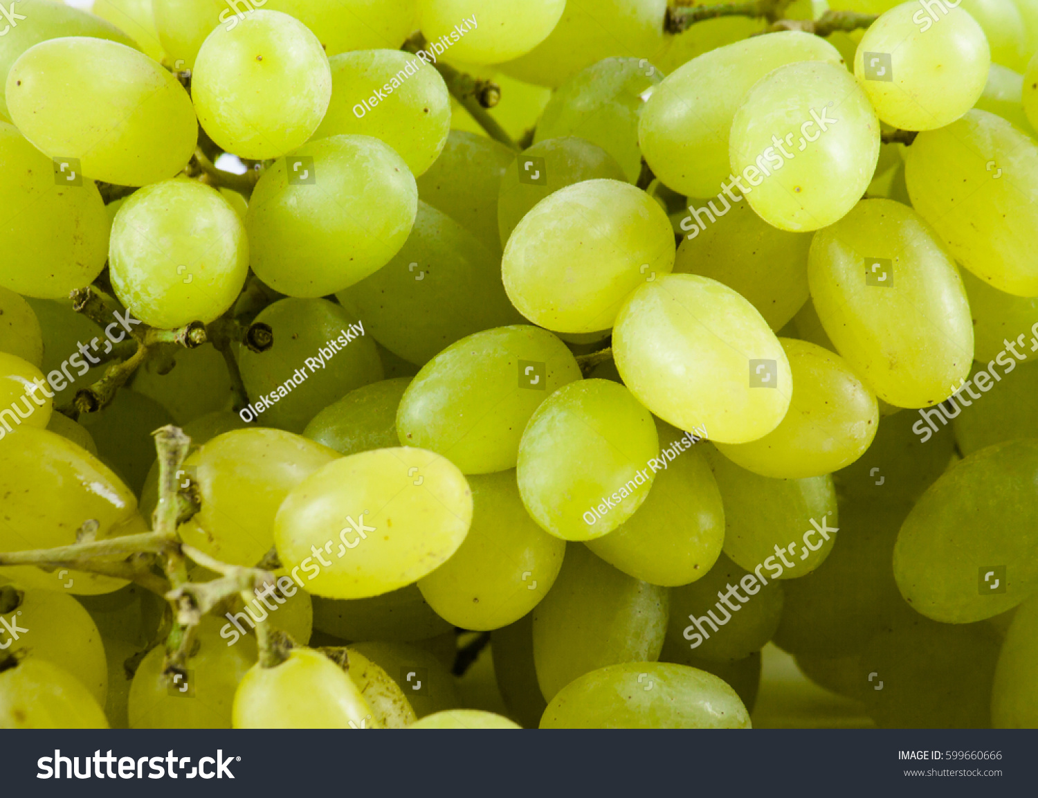 Green fresh ripe grape isolated on white background. Food ingredient. Fruits #599660666