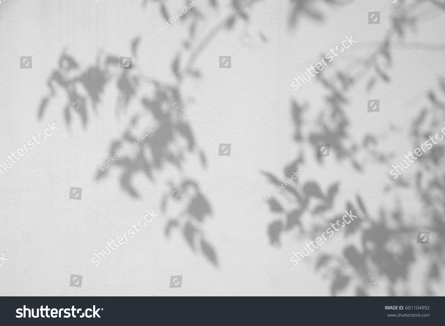 shadow tree on white wall #601104992