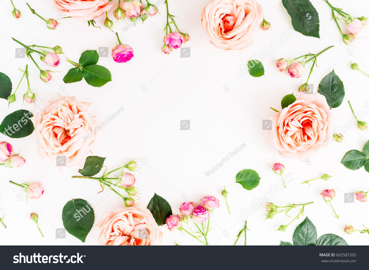 Floral round frame with pink roses and leaves on white background. Flat lay, top view. Frame background #602587205