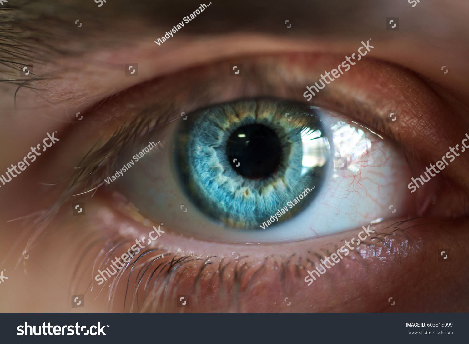 Beautiful blue male eye close-up #603515099