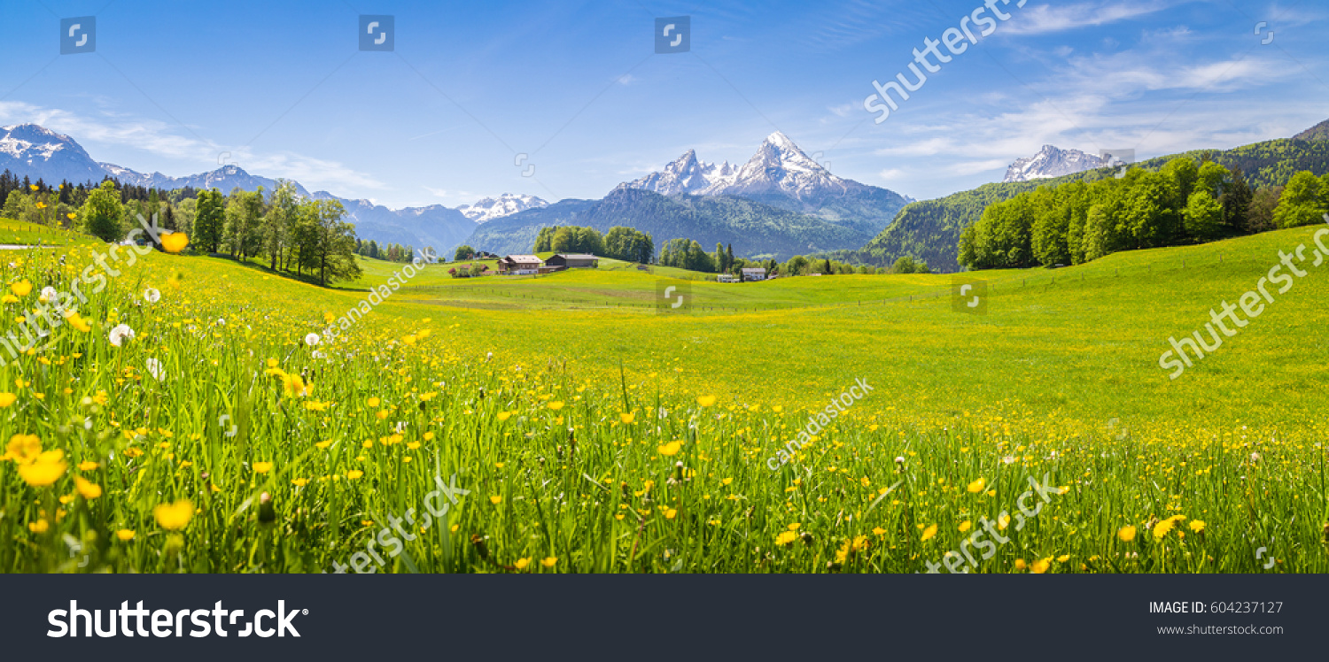 Panoramic view of idyllic mountain scenery in the Alps with fresh green meadows in bloom on a beautiful sunny day in springtime, National Park Berchtesgadener Land, Bavaria, Germany #604237127