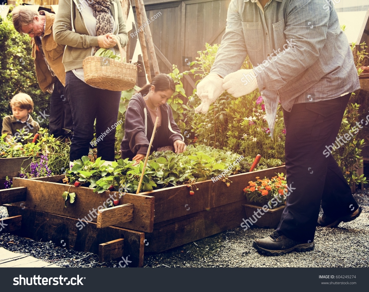 Group of people gardening backyard together #604249274
