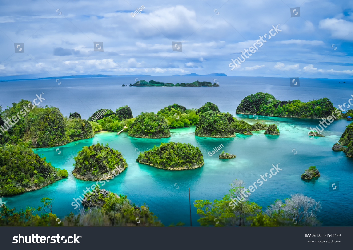 Pianemo Islands, Blue Lagoon with Green Rockes, Raja Ampat, West Papua. Indonesia #604544489