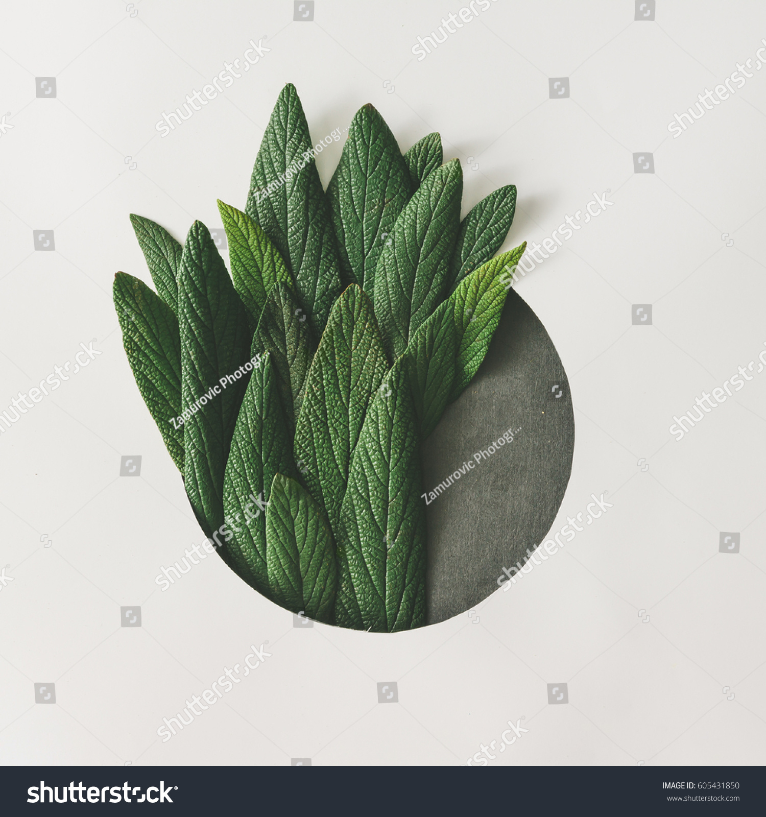 Creative minimal arrangement of green leaves. Nature concept. Flat lay. #605431850