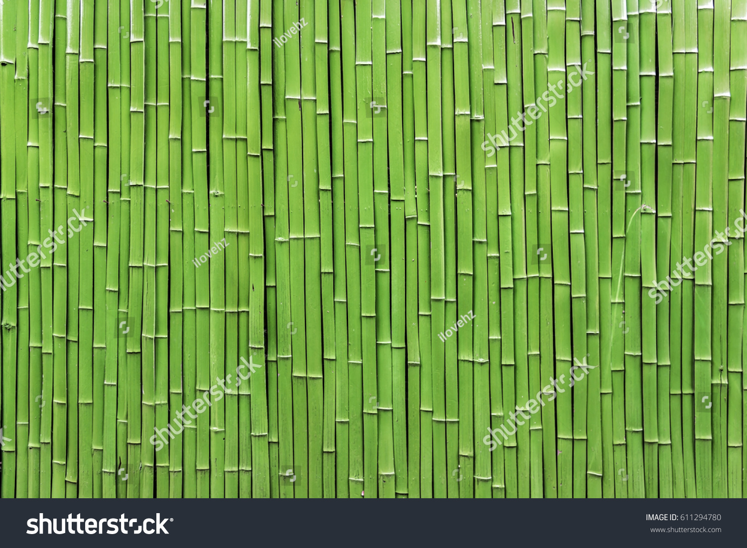 Bamboo raft #611294780