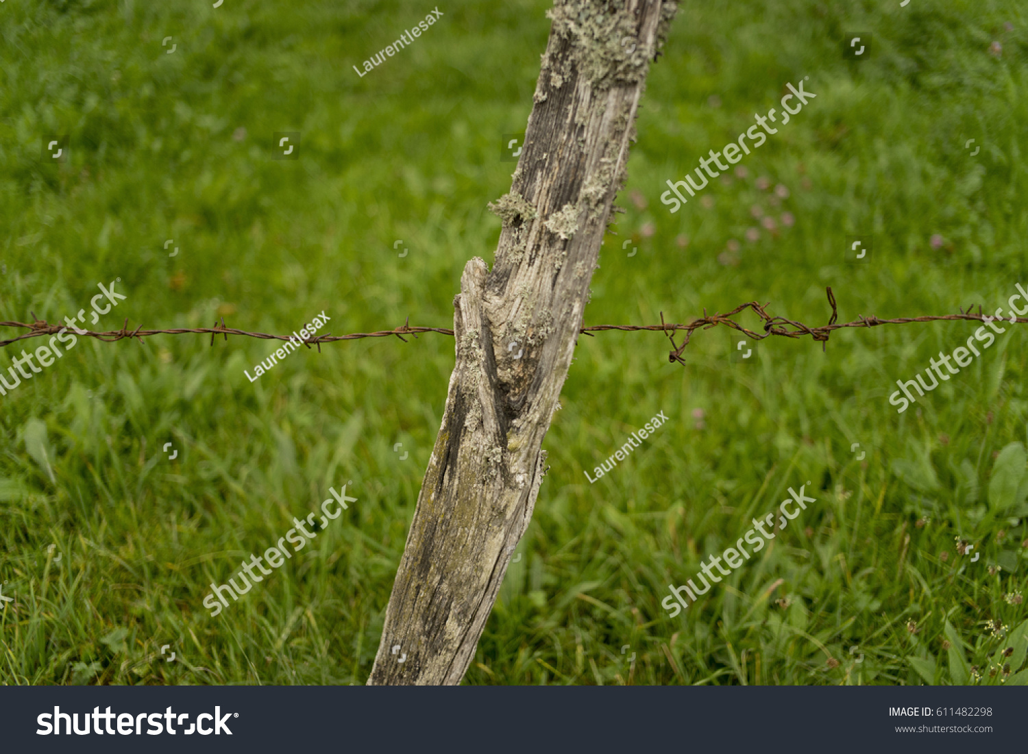 Barbed wire on a wooden stick fence enclosing a field at countryside with green field in the background #611482298