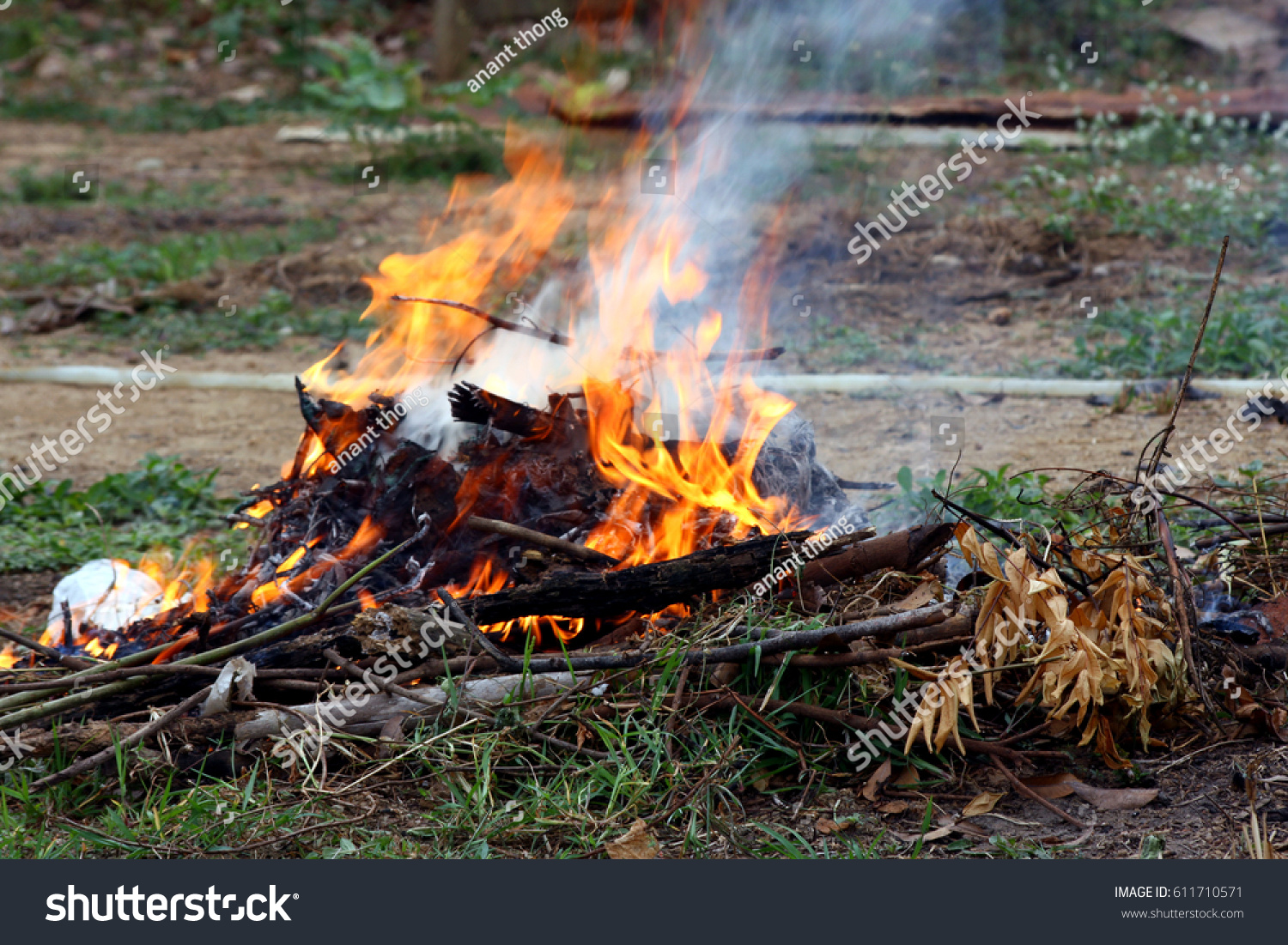 fire Burning garbage, dry grass in the forest hot weather. #611710571