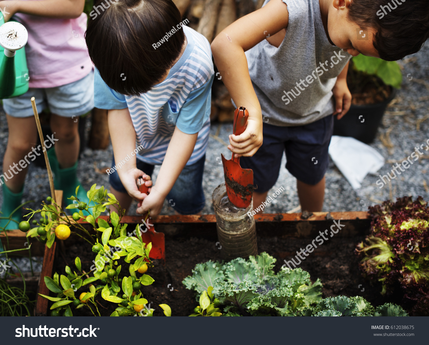 Diversity Group Of Kids Garden Shovel Watering Can #612038675