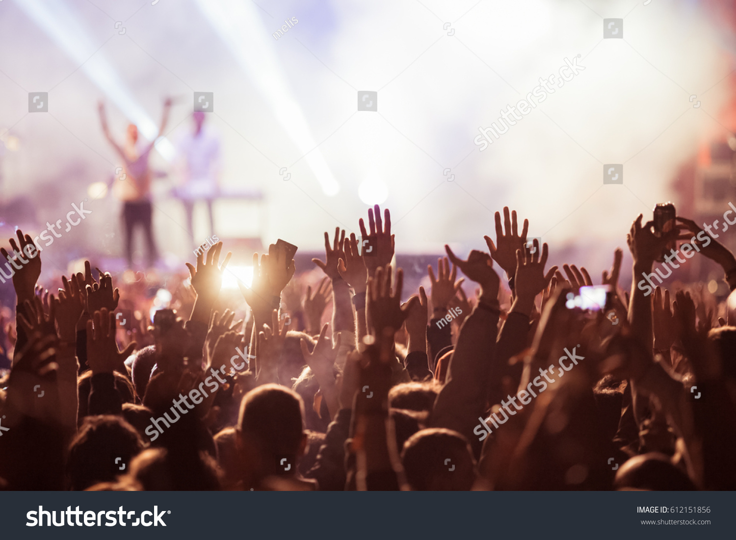 crowd at concert - summer music festival #612151856