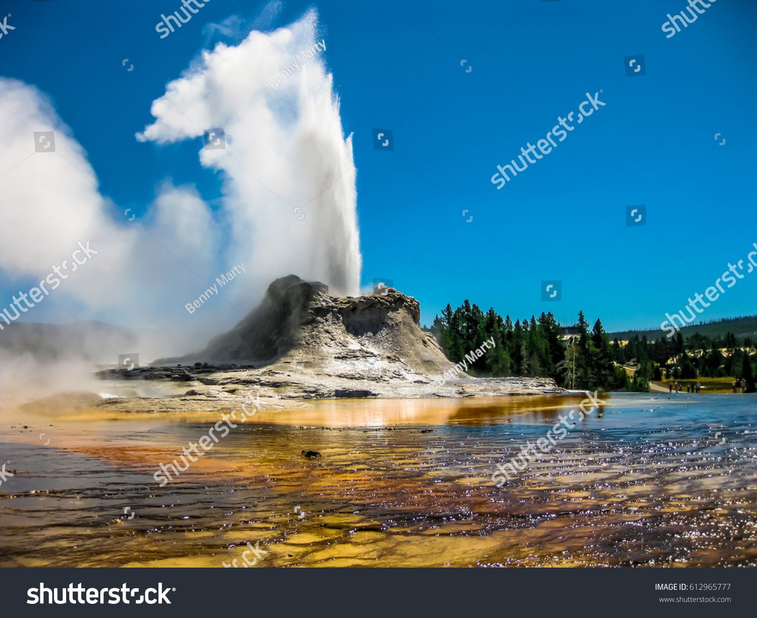 Castle Geyser erupts with hot water and steam with pools of thermophilic bacteria and it's a cone geyser in the Upper Geyser Basin of Yellowstone National Park, Wyoming, United States. #612965777