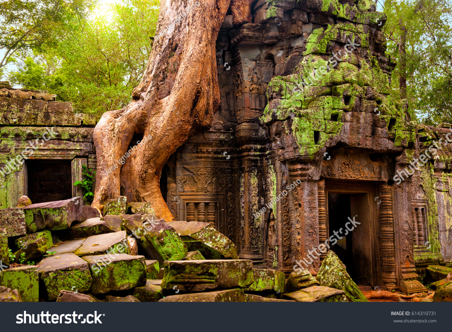 Ta Prohm temple. Ancient Khmer architecture under the giant roots of a tree at Angkor Wat complex, Siem Reap, Cambodia. #614310731