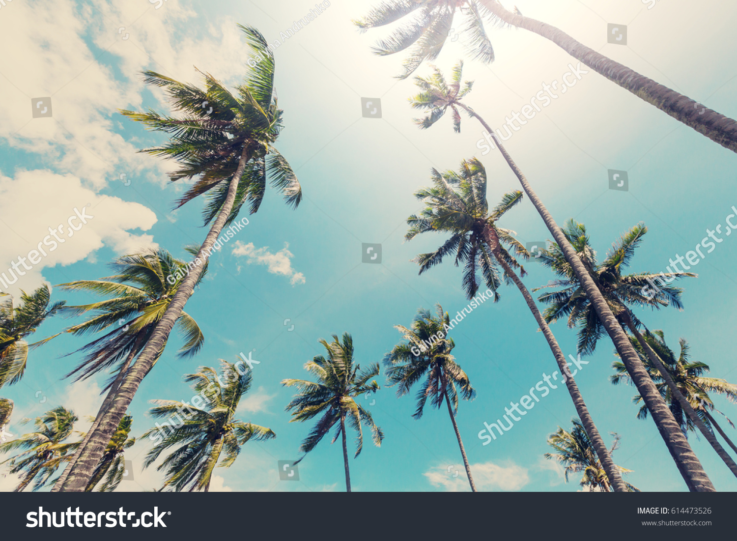Serenity tropical beach #614473526