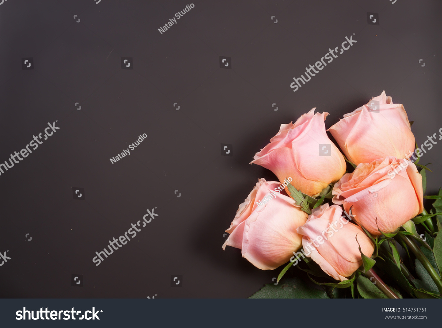 five beige rose on dark background with copy space for your text. top view #614751761
