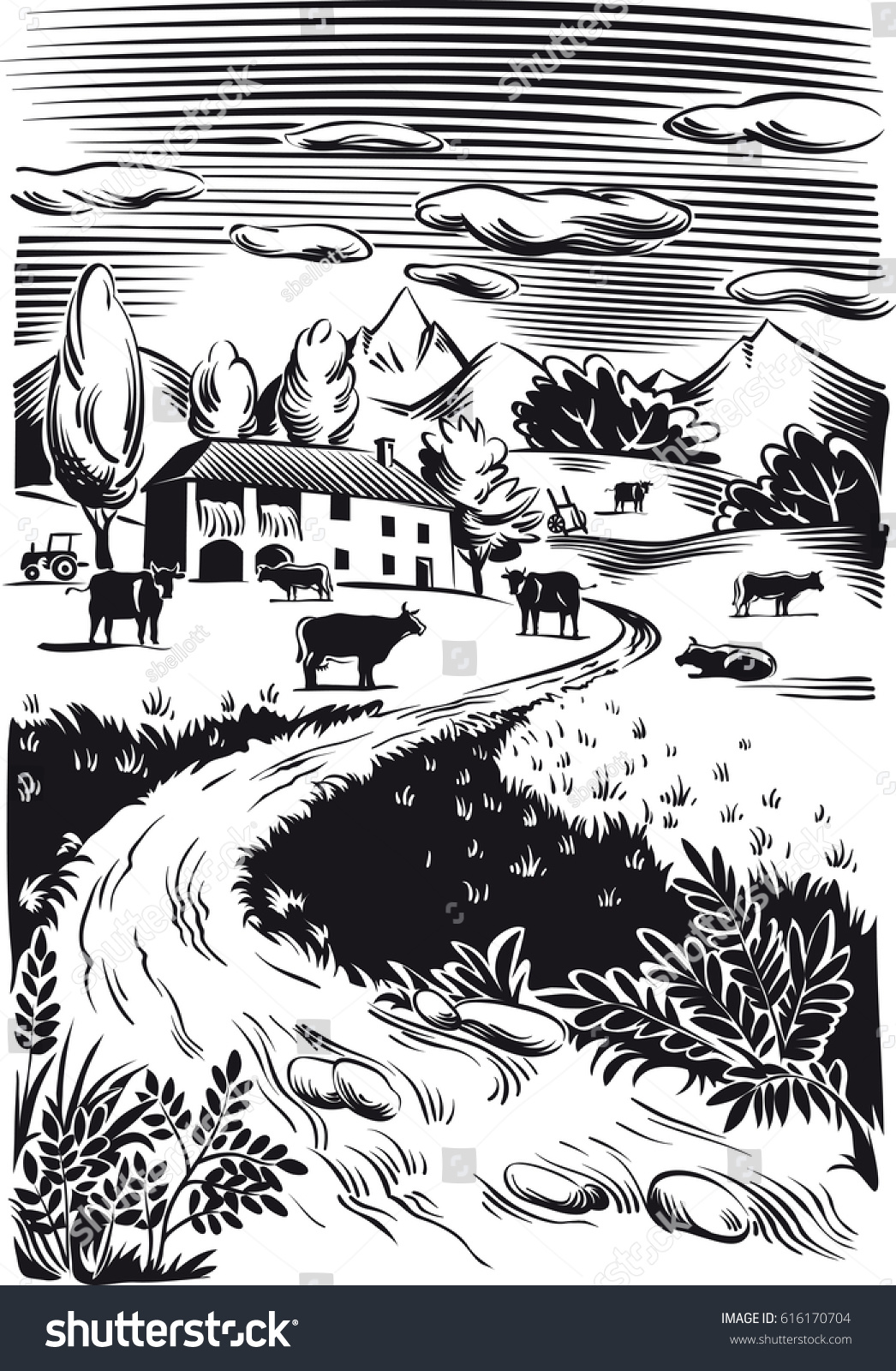 rural landscape with grazing cows - Royalty Free Stock Vector 616170704 ...
