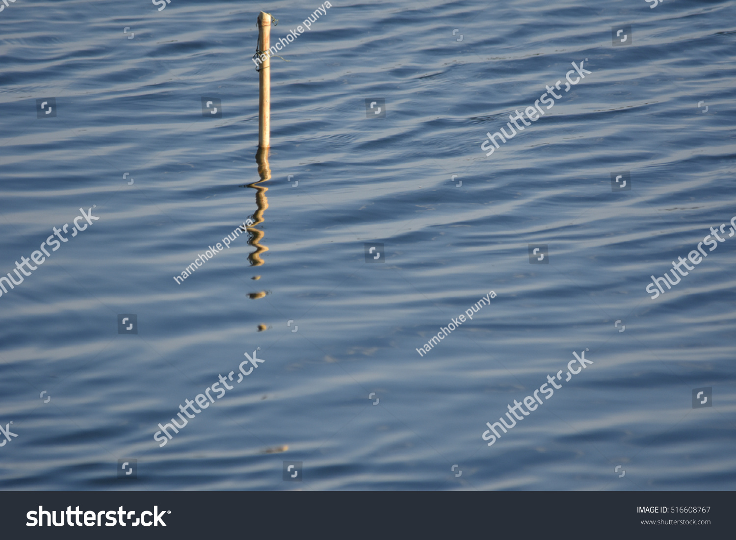 Water Surface and reflection of little wood , abstract  #616608767