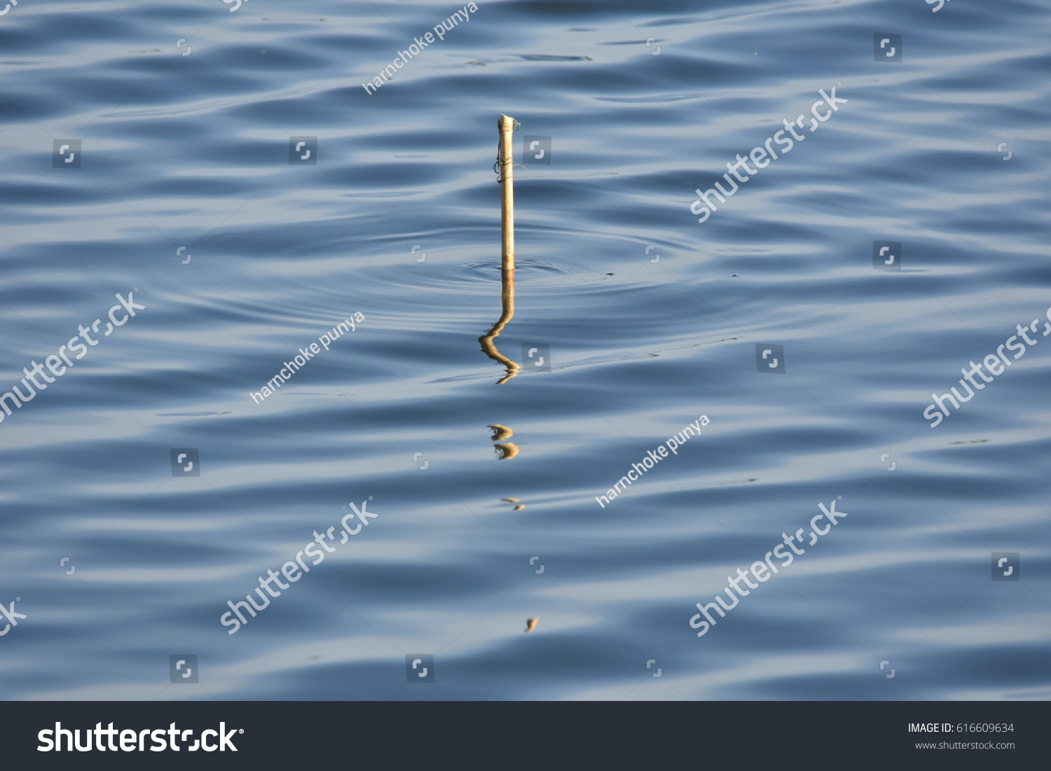 Water Surface and reflection of little wood , abstract  #616609634