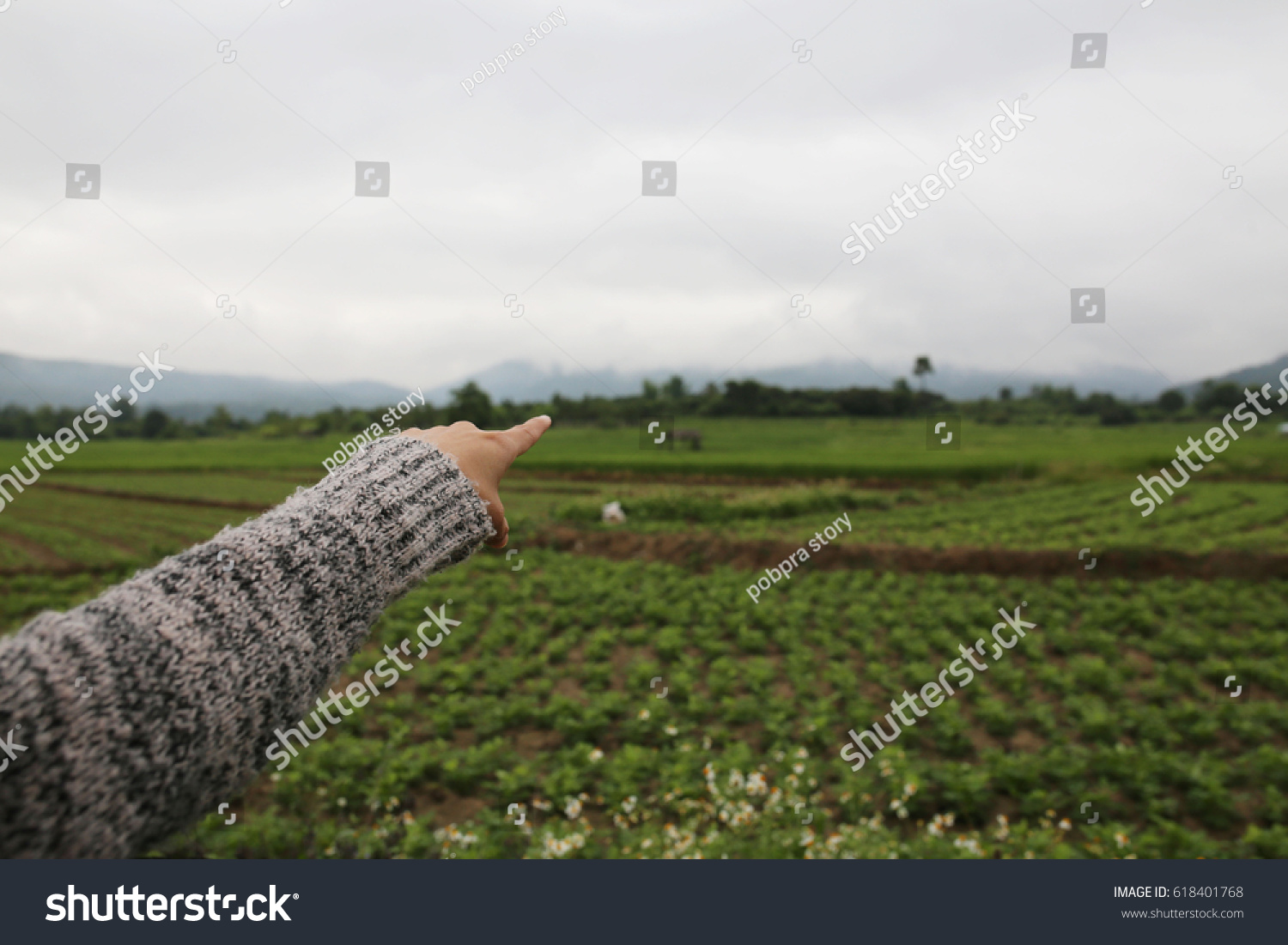 Her hand in the field to the horizon. #618401768