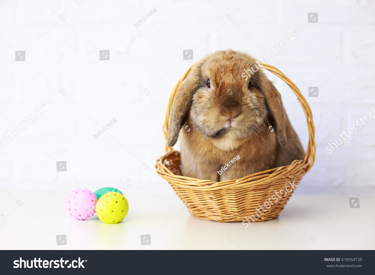 Easter Bunny in Basket with Easter Eggs. White Brick Wall Background. Shallow Depth of Field. Fluffy Brown Lop-Eared Rabbit. Copy Space. #618554720