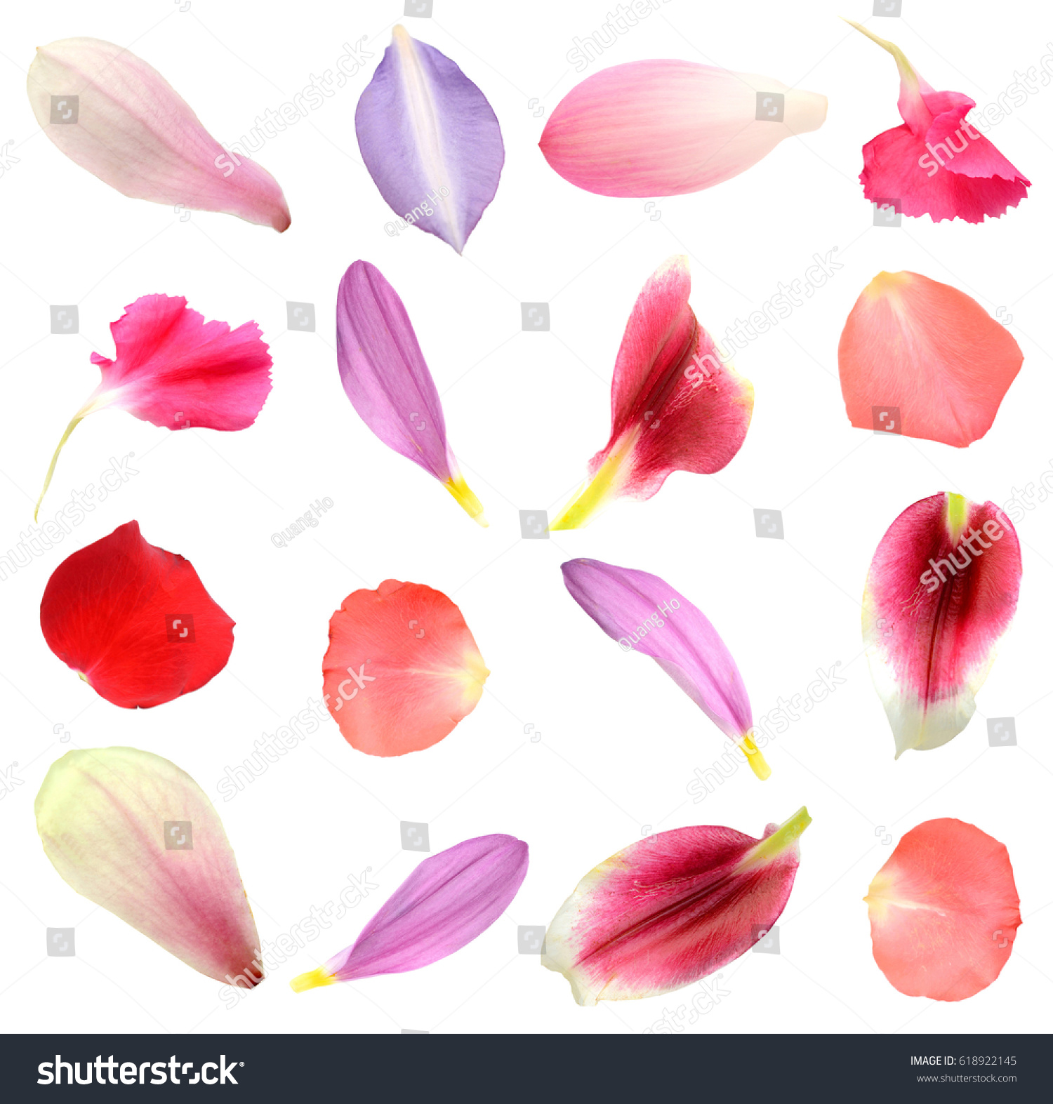 Assorted flower petals in seasonal #618922145