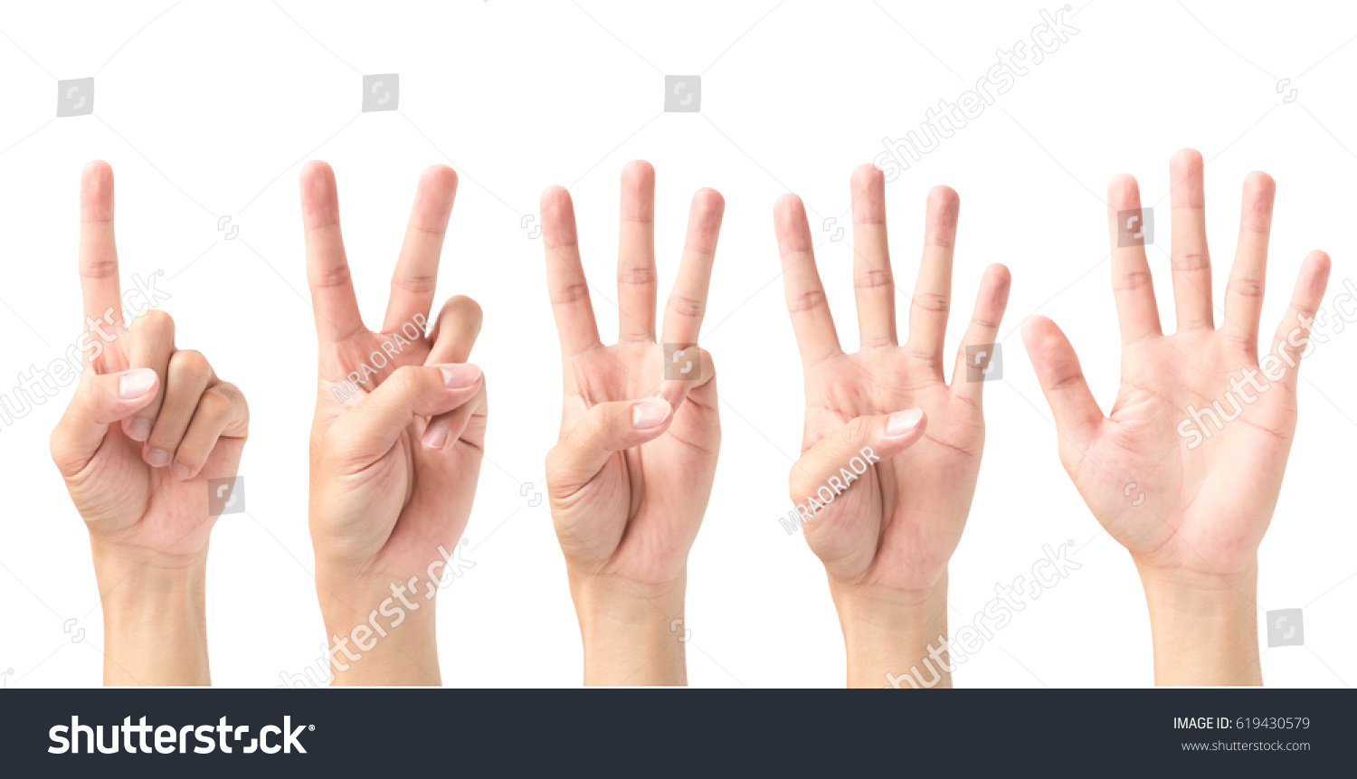 Set of number 1 2 3 4 5 with hand sign isolated on white background #619430579