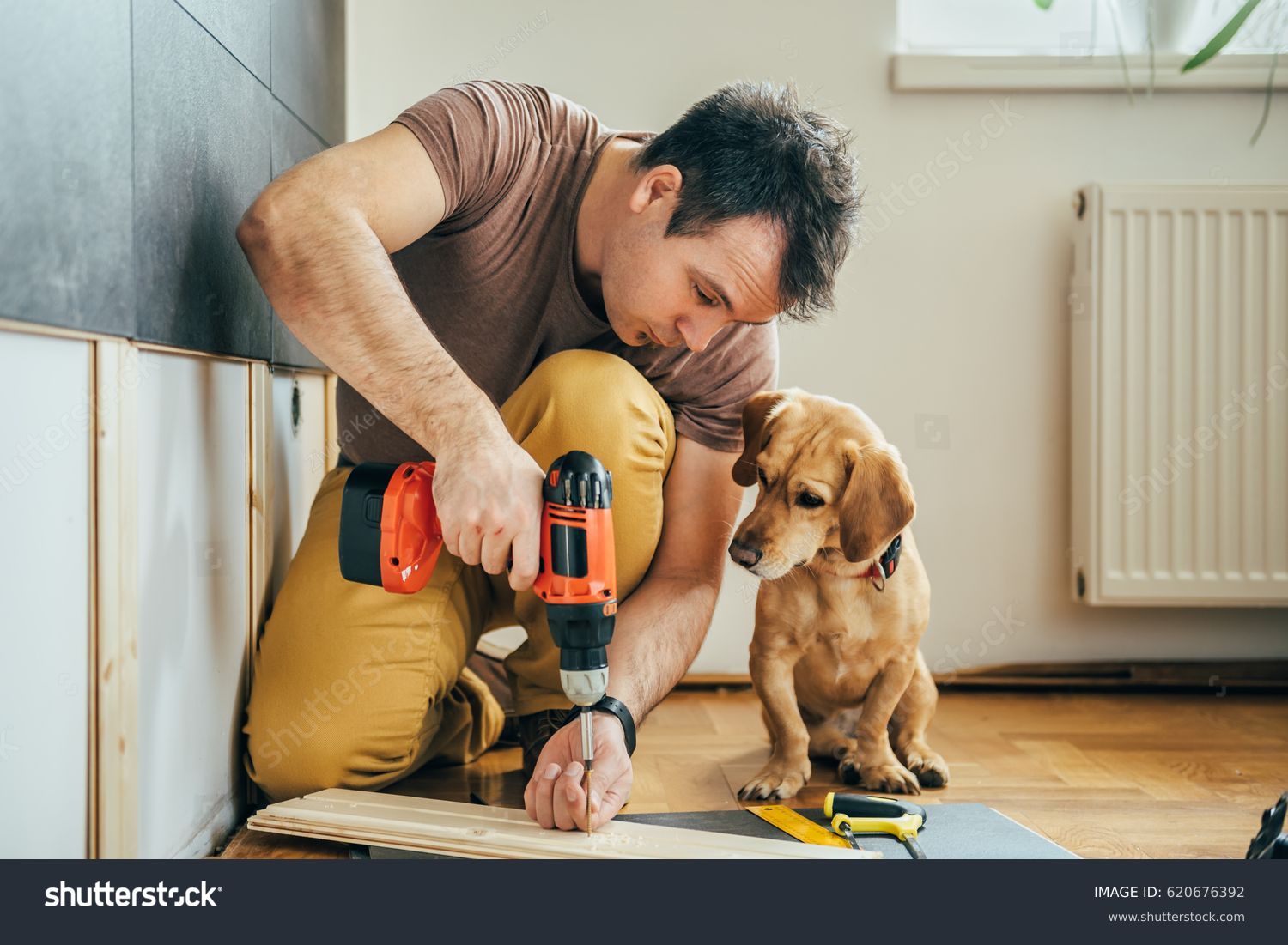 Man doing renovation work at home together with his small yellow dog #620676392