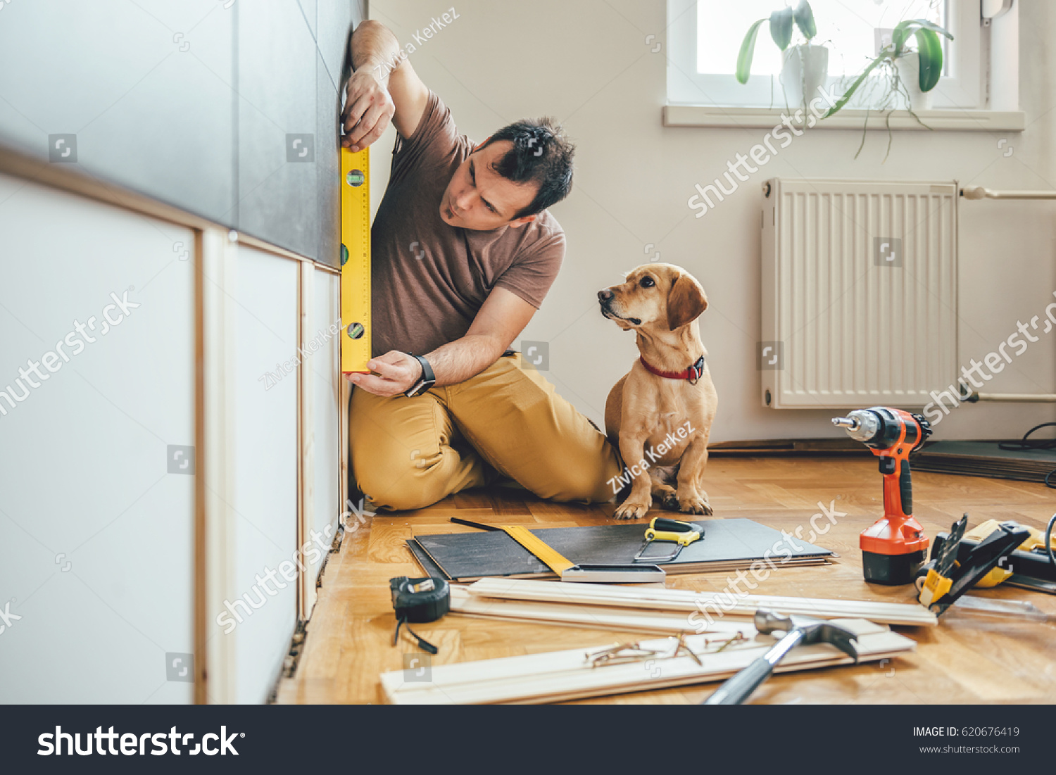 Man doing renovation work at home together with his small yellow dog #620676419