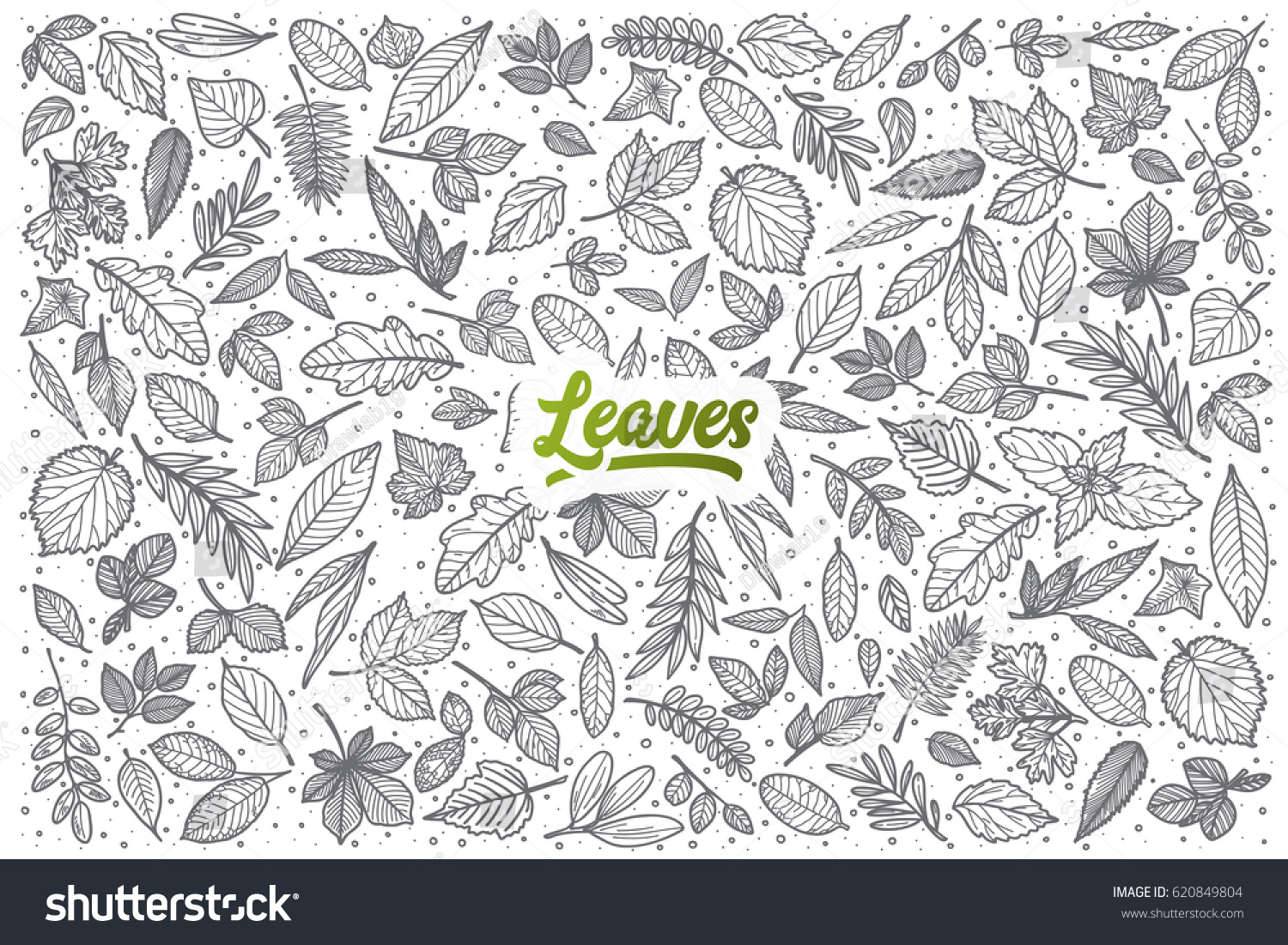 Hand Drawn Leaves Doodle Set Background With Royalty Free Stock