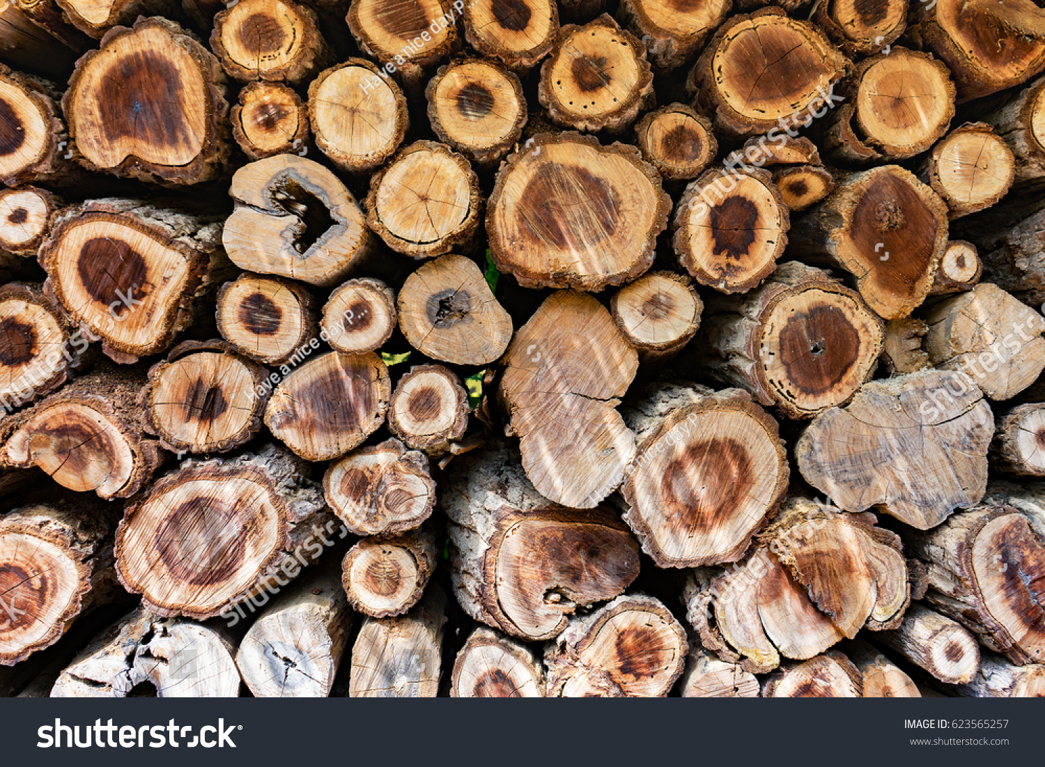 Cross Sectional Wooden Background,Different sections of the tree.Pile of chopped fire wood prepared for winterCutting wood is arrange to be the natural wall at farm in Thailand,selective focus #623565257