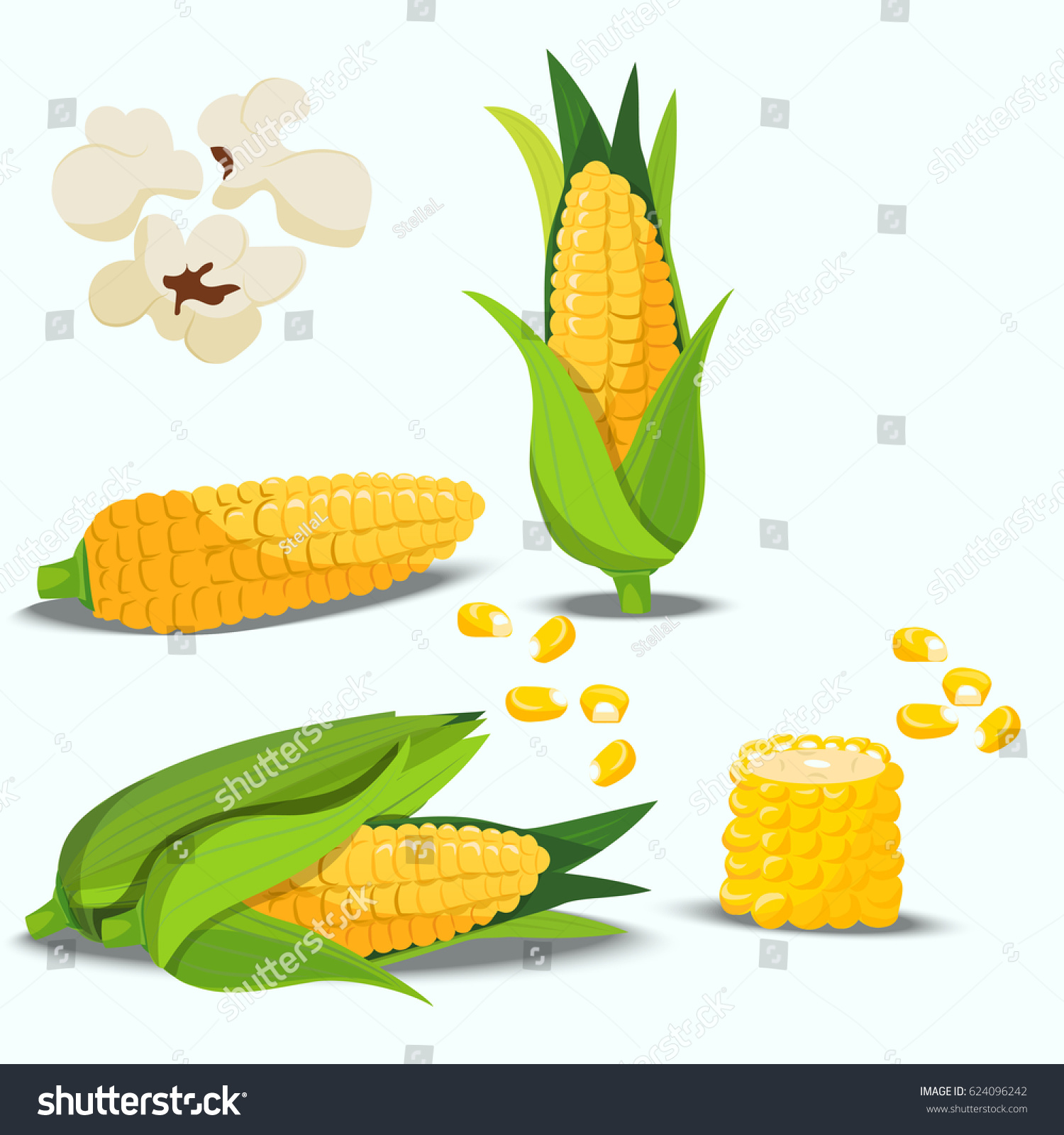 Very high quality original trendy vector set with sweet golden corn. Bunch of Corn. summer farm design elements #624096242